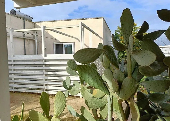Sea Beach Home